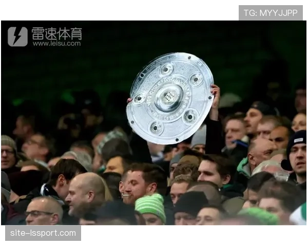 调查显示：德甲联赛全球转播收入增长，亚洲市场贡献率提升